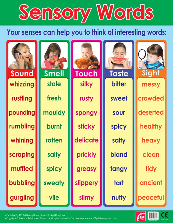 Sensory Words Exercises